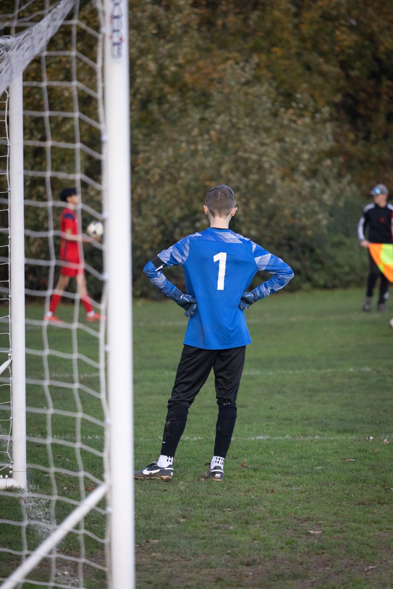 Grayshot Red Devils Goal Keeping